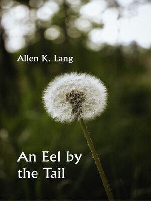 cover image of An Eel by the Tail